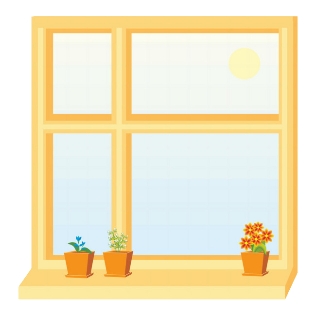 Windows